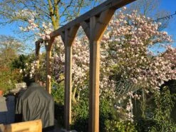 Beverboom Als Struik (Magnolia Soulangeana) -Tuinplanten Winkel 20250331 184119