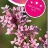 Sering (Syringa Flowerfesta® 'Pink') -Tuinplanten Winkel flowerfesta r pink.vz