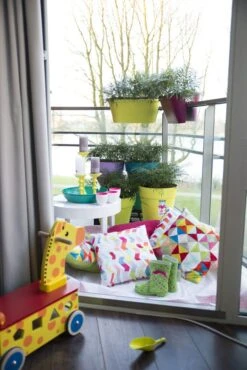 Chinese Mahonie Struik (Mahonia Eurybracteata 'Soft Caress') -Tuinplanten Winkel mahonia eur. soft caress