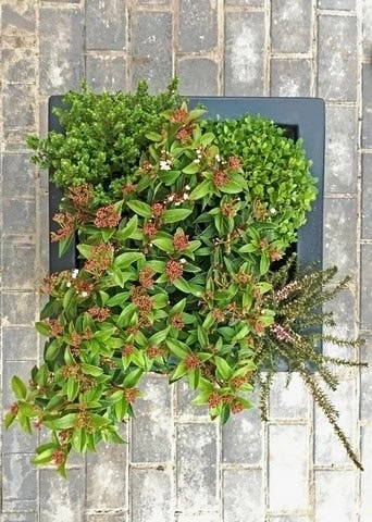 Winterpakket 5 Winterpakket - Afbeelding 3