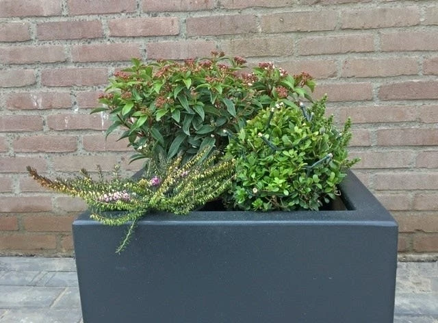 Winterpakket 3 Winterpakket